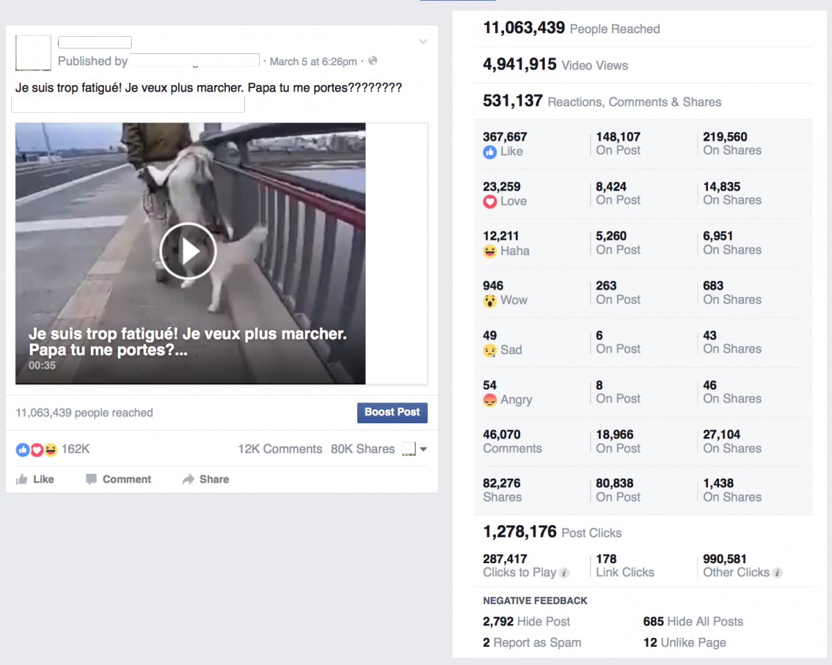Statistiques Buzz Vidéo Facebook