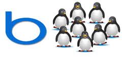 Bing et Google Penguin